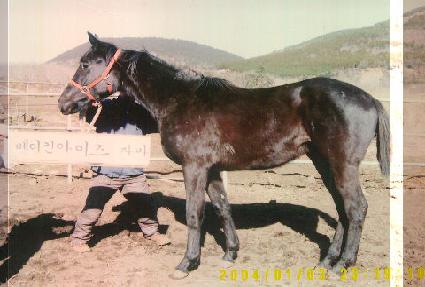 ���ù���� ����