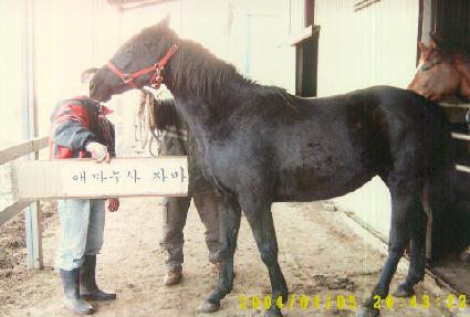 ȸ���ǹ̼� ����