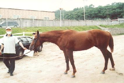 ���°��� ����