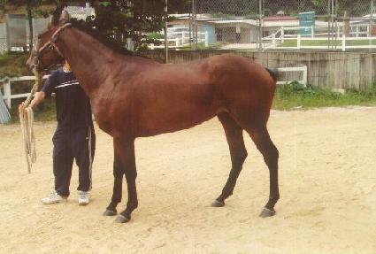 õ���ǻ�� ����