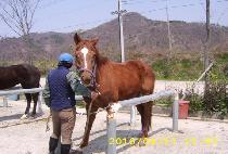 �����ຸ (MUJEOK HAENGBO) ����