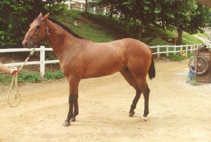 �׸���Ŷ ����