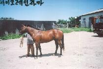 �������� (MULIM GOSU) ����