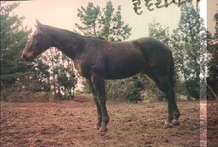 �������� ����