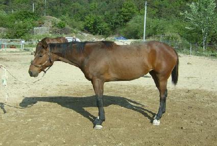 û�ؽź� ����