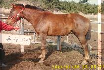 �ø���Ƽ (ALL MIGHTY) ����