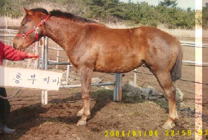 �ø���Ƽ ����