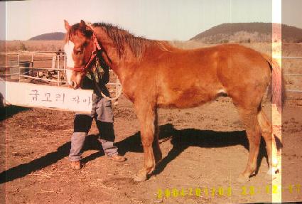 ��ջ��ٶ� ����