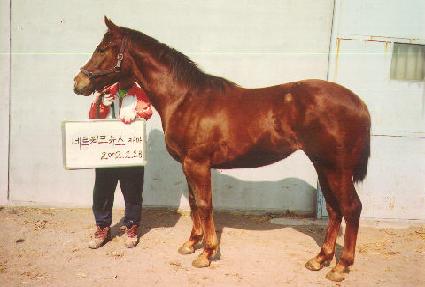 û��ô� ����