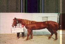 ��Ŭ���� (PEN CLASS) ����