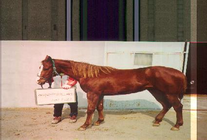 ��Ŭ���� ����