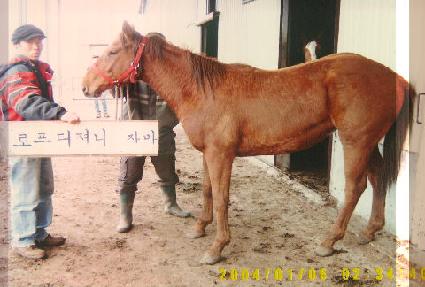 ������ ����