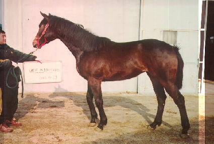 �ϵμ� ����