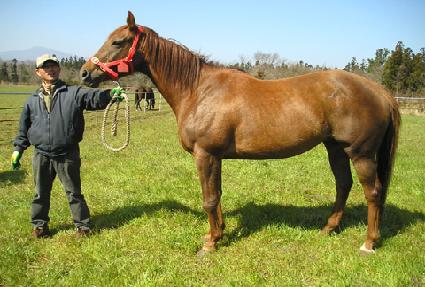 ���ͷ� ����