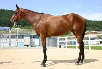 ���ٳ��� (GEUMJUL NABI) ����