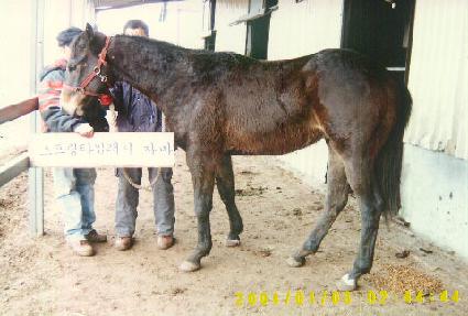 �������� ����