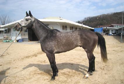 ��õ���� ����