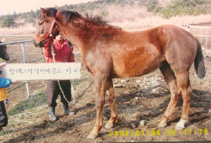 ���� ����