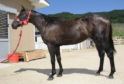 ��ݴ��� ����