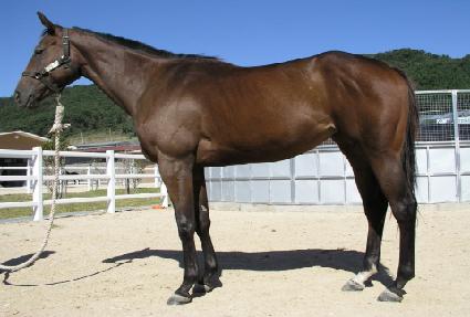 ��Ű���� ����