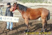 ����� (DAEUNJANG) ����