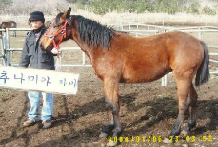 ����� ����