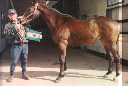 �±��ϴ� ����