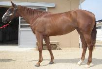 Ǫ���� (PUGEUNHAN) ����