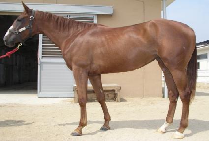 Ǫ���� ����