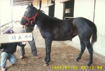 ���ʽ� ����