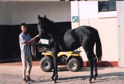 �������� ����