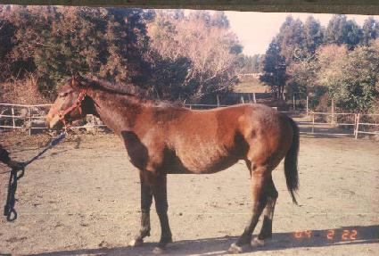 �̱����̺� ����