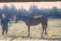 �轺��� (SOCKS WOMAN) ����