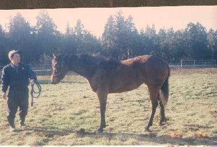 �轺��� ����