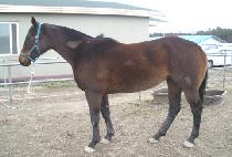 �湫 (GYEONG MU) ����