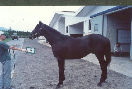 �������丮�� ����