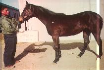 ���׼� (SUNHANGSEON) ����