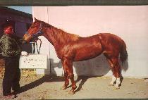 �۶�����Ƽ (GLY PARTY) ����