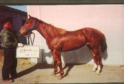 �۶�����Ƽ ����