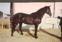 ������� (HEUKJO BISANG) ����