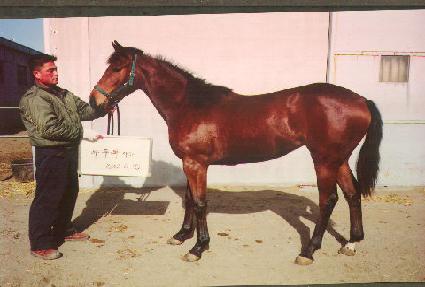 ���뼱�� ����