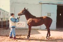 �뺸�� (DAEBOREUM) ����