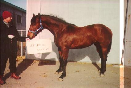 �۶��̵����� ����