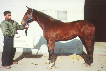 �ֵ��㽬 ����