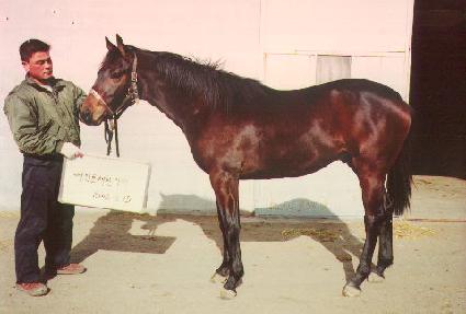 ��Ʈ�հ��� ����