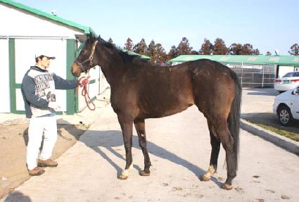 ����� ����