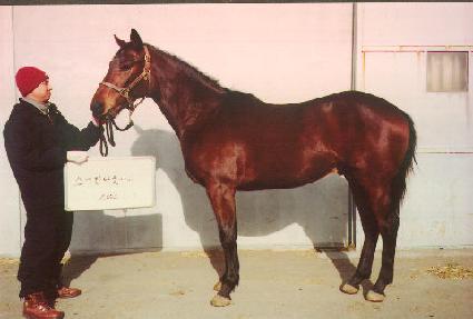 ������� ����