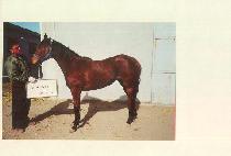 ������� (JEONWON USEUNG) ����