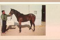 �⺴�� (GIBYEONGDAE) ����