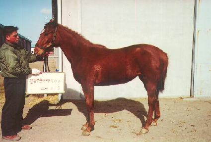 ���ݵ��� ����